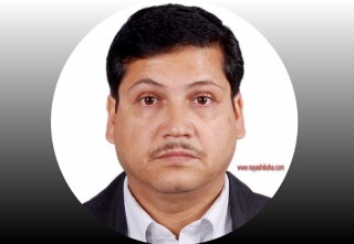 सिटिईभिटीको सदस्य सचिवमा काफ्ले