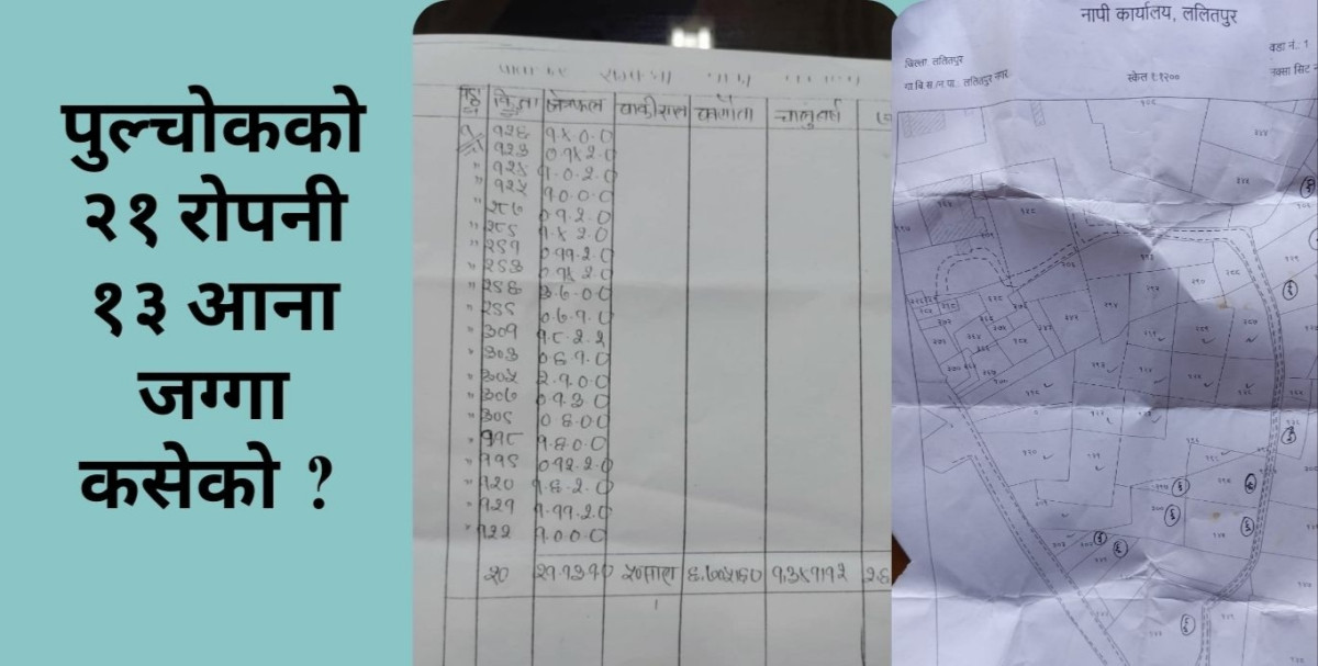 २१ रोपनी जग्गा गायब हुँदा समेत  पनि बेखबर छन् त्रिविका कलेज